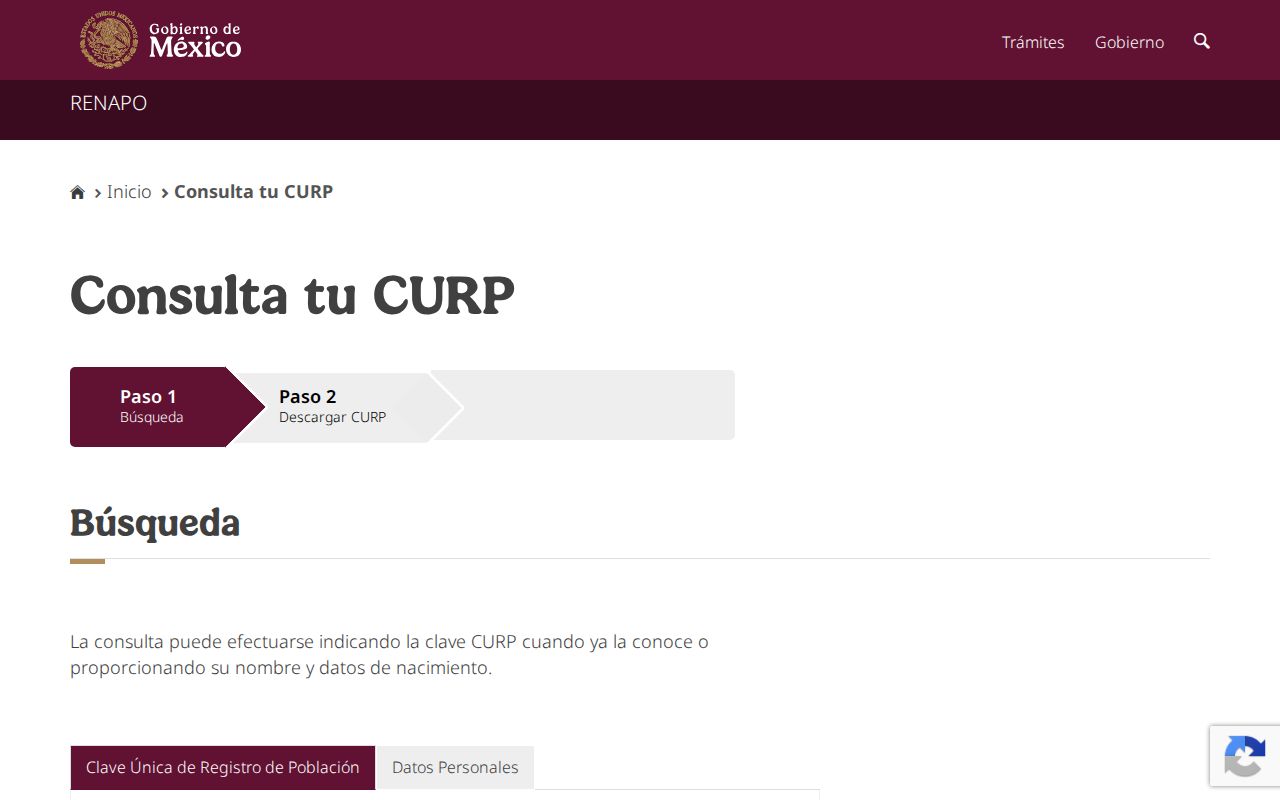 Página oficial 'Consulta tu CURP' en gob.mx/curp con el Paso 1 Búsqueda y Paso 2 Descargar CURP